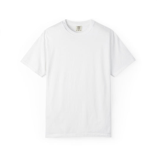 Aidan's test — Comfort Colors 1717 T-Shirt — Large Back