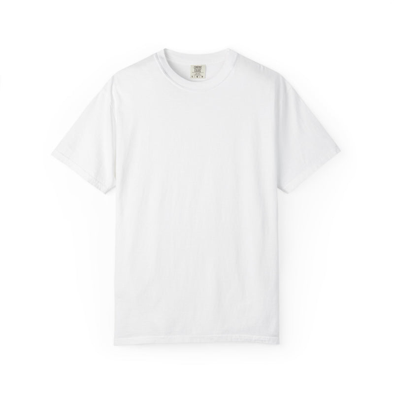 Aidan's test — Comfort Colors 1717 T-Shirt — Large Back