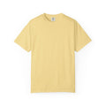 Aidan's test — Comfort Colors 1717 T-Shirt — Large Back
