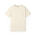 Aidan's test — Comfort Colors 1717 T-Shirt — Large Back