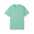 Aidan's test — Comfort Colors 1717 T-Shirt — Large Back