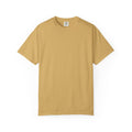 Aidan's test — Comfort Colors 1717 T-Shirt — Large Back